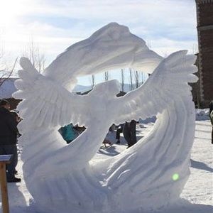 Meet your Posher, Colleen